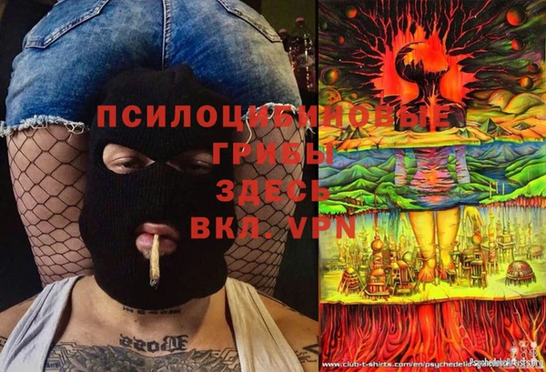 стаф Армянск