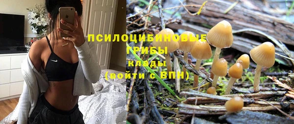 дживик Слюдянка