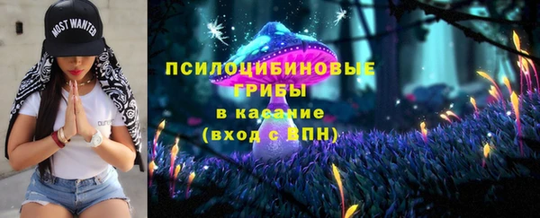 СК Аркадак