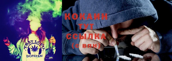 прущая мука Арсеньев